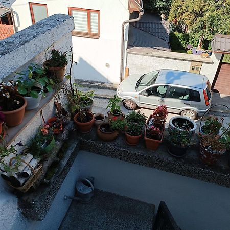 Apartman Ohren SJJ Buitenkant foto